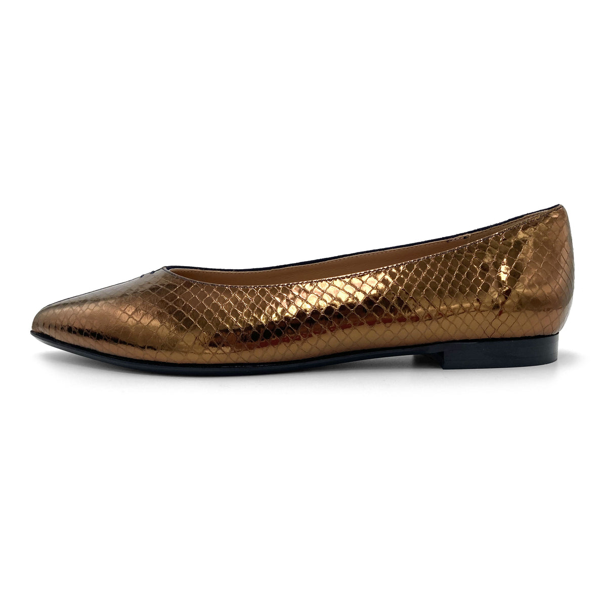 Bicolor pointed toe ballet flats bronze and blue